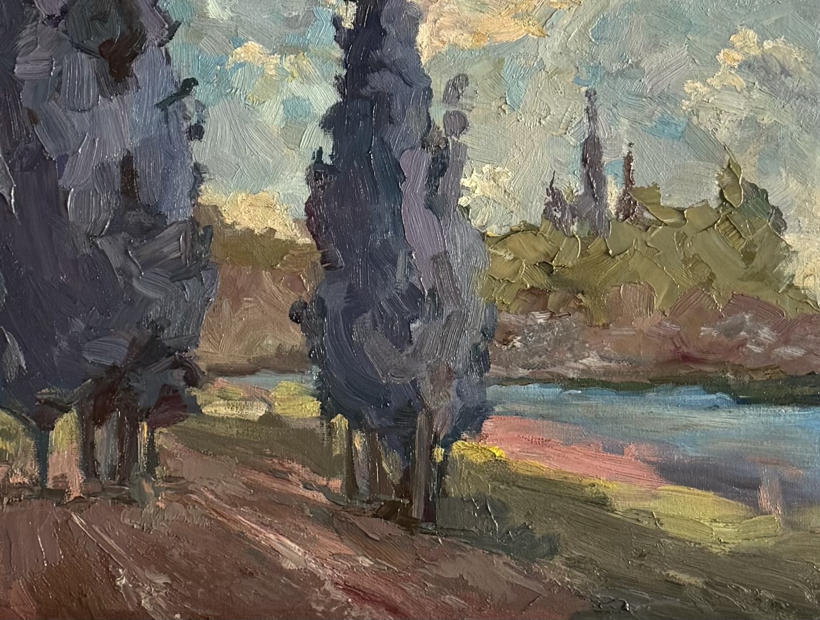 Cypress, 20 × 30 cm, 2023 (sold)