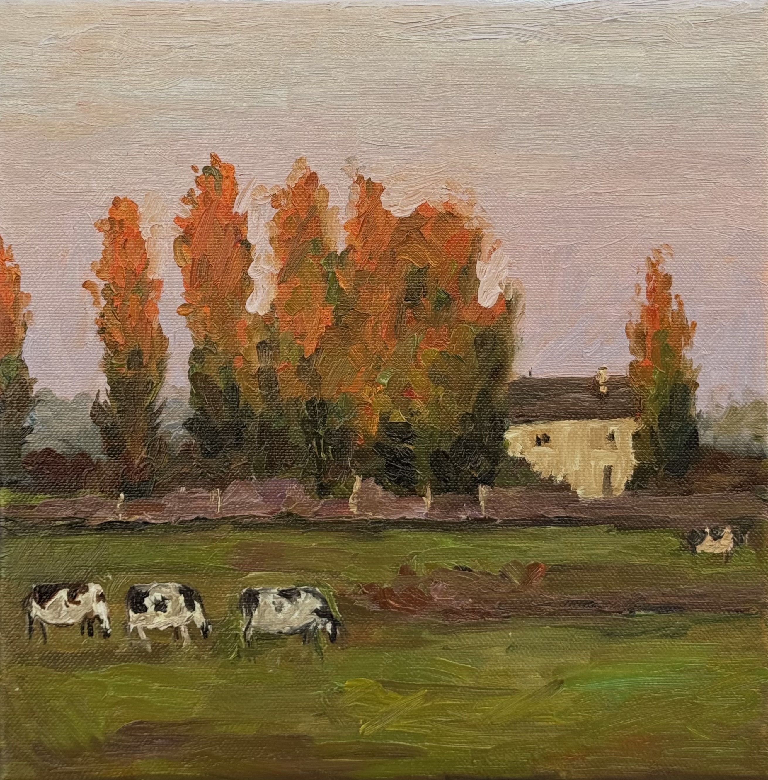 Farm House, 25 × 25 cm, 2024
