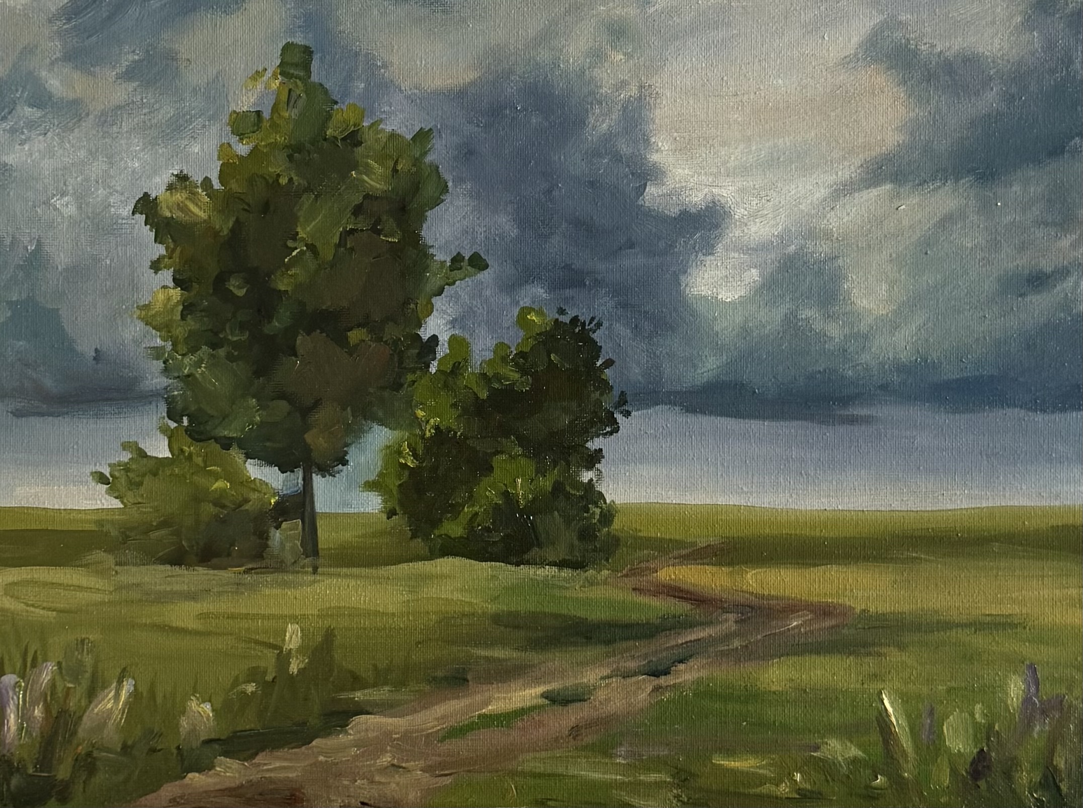 Path Across the Field, 20 × 30 cm, 2021